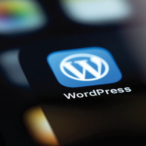 diseño web profesional wordpress