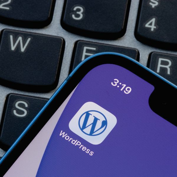panel control wordpress