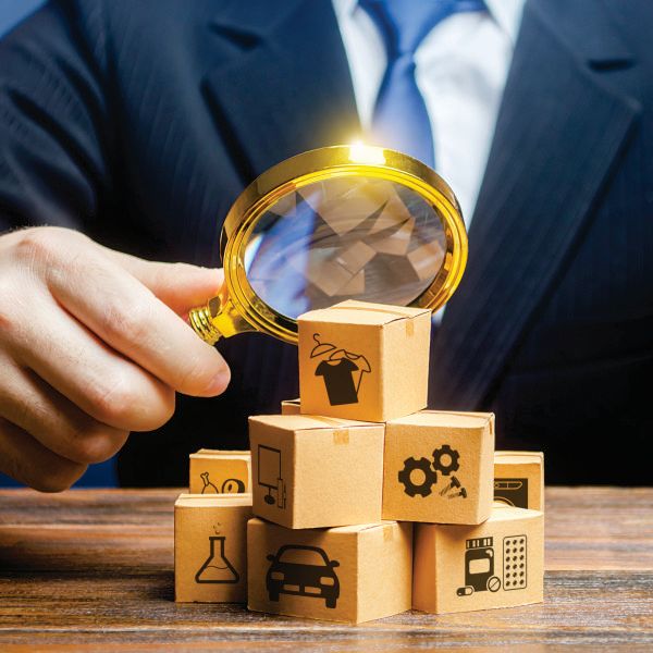 sector emprendedor